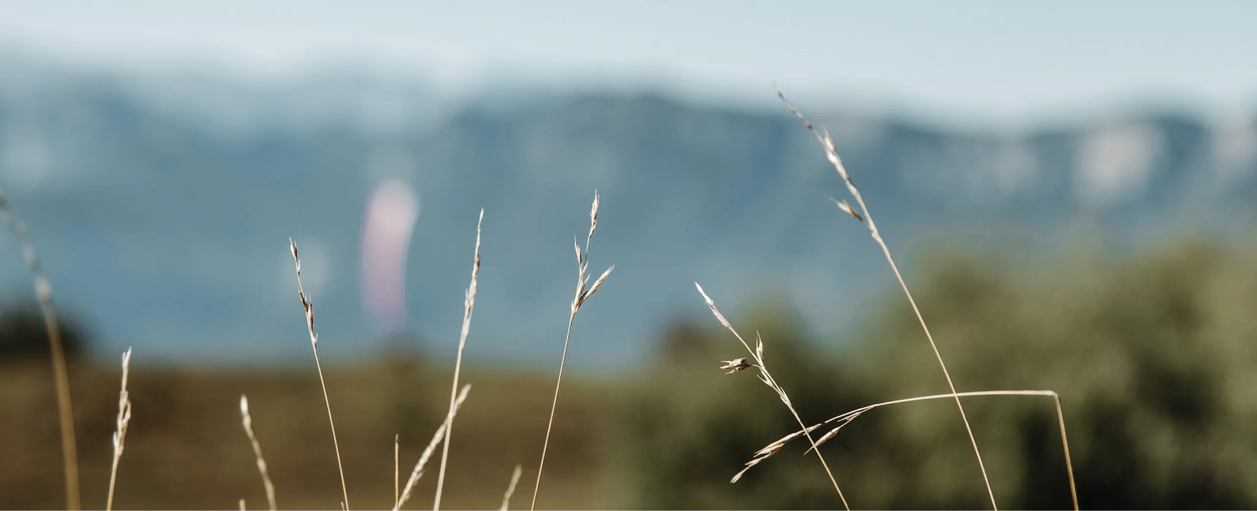 detailwanderung_banner